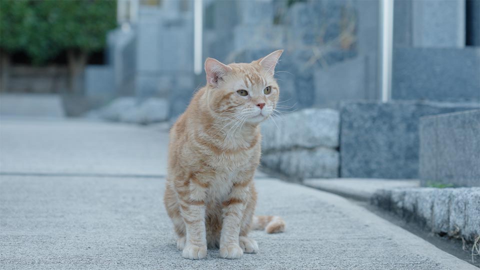 第1回