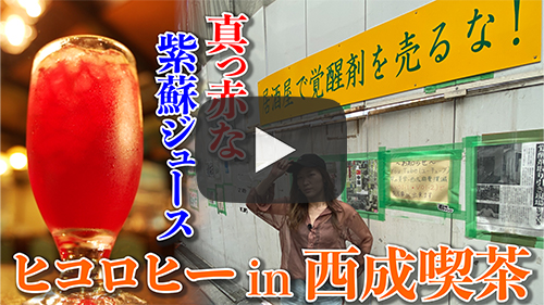 珈琲館 白木屋