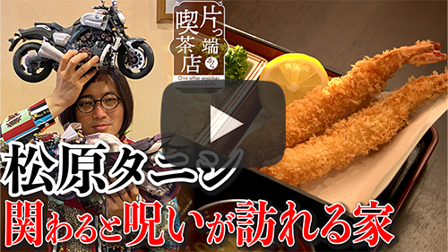 サボテン