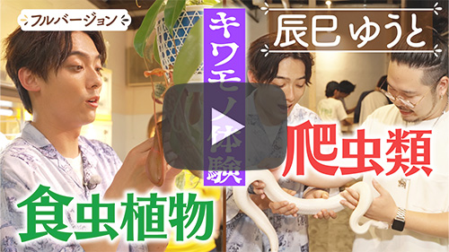 喫茶すわん