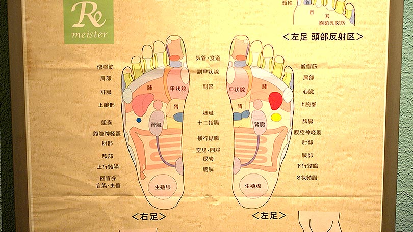 お店の紹介