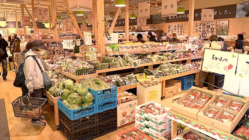 お店の紹介