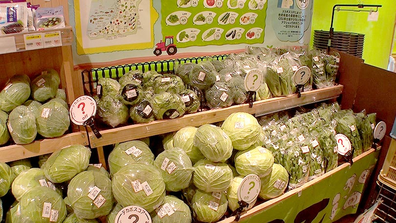 お店の紹介