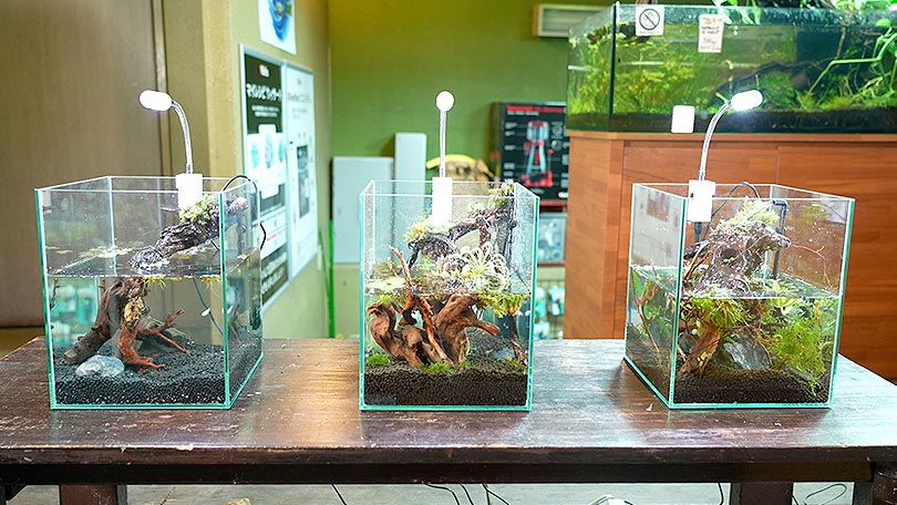 お店の紹介