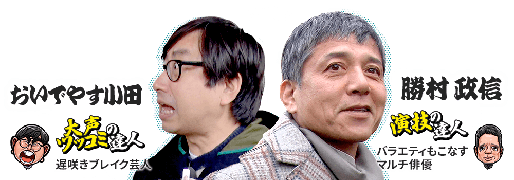 ゲスト