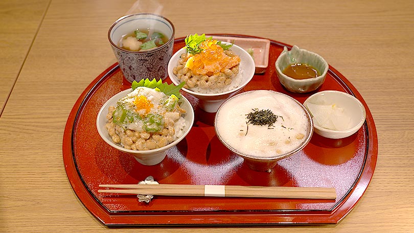 お店の紹介