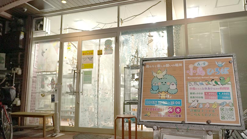お店の紹介