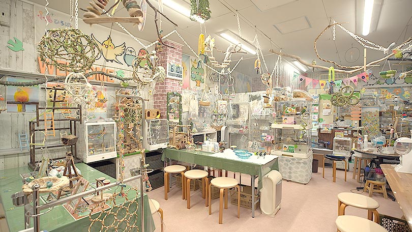 お店の紹介