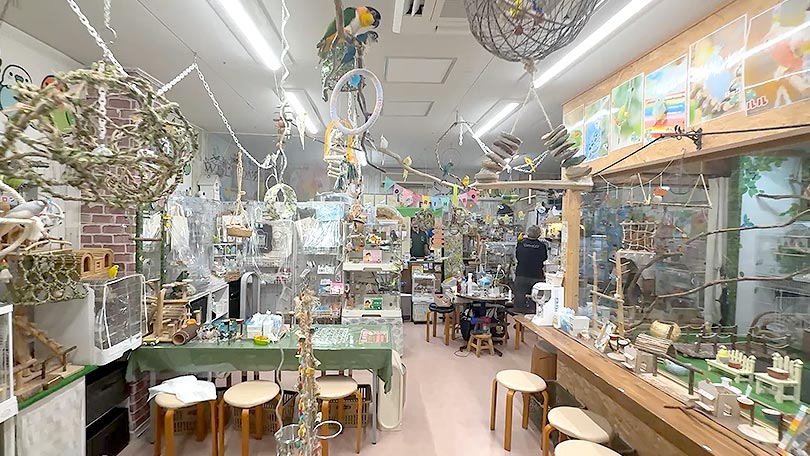 お店の紹介