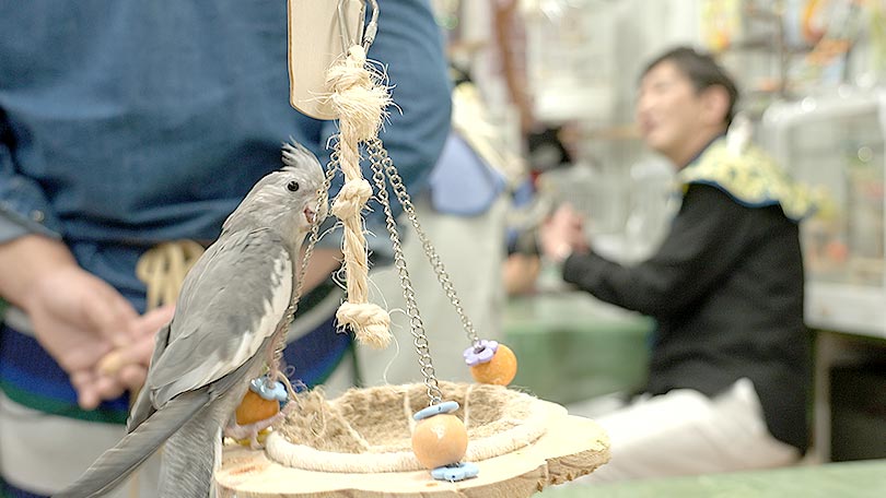 お店の紹介