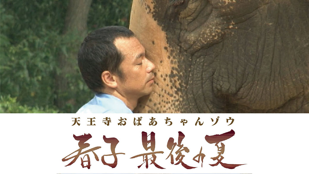 劇場版 天王寺おばあちゃんゾウ 春子 最後の夏