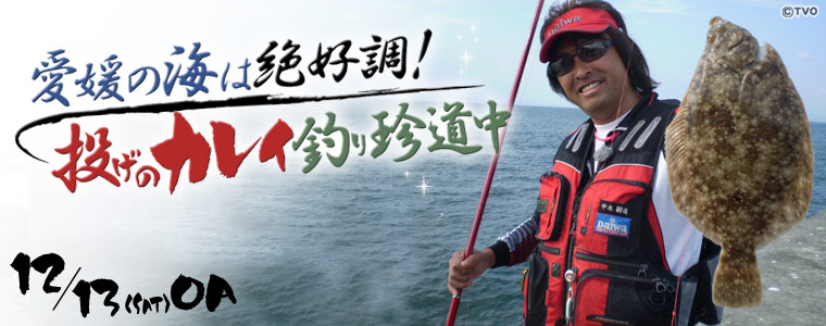 愛媛の海は絶好調！投げのカレイ釣り珍道中