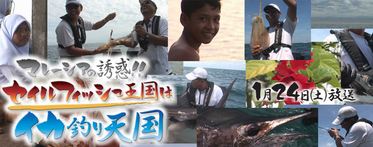 マレーシアの誘惑!!セイルフィッシュ王国はイカ釣り天国