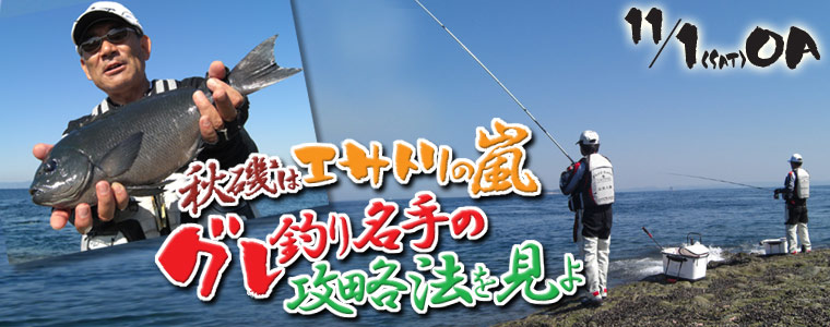 秋磯はエサトリの嵐・グレ釣り名手の攻略法を見よ
