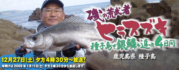 磯の荒武者ヒラスズキ 種子島で銀鱗を追った4日間