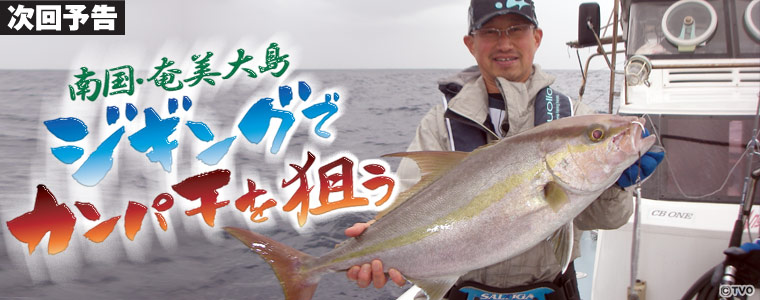 南国・奄美大島 ジギングでカンパチを狙う