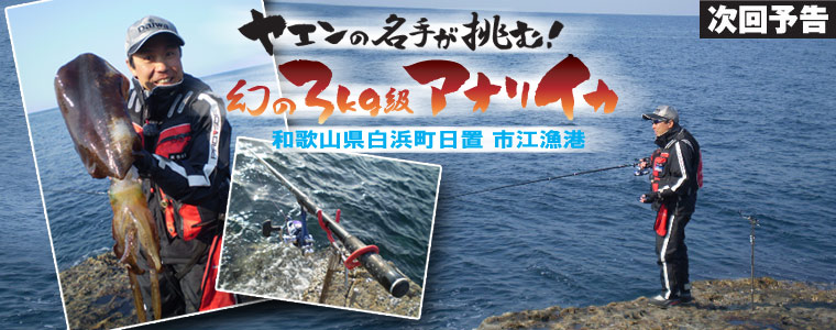 ヤエンの名手が挑む！幻の3kg級アオリイカ