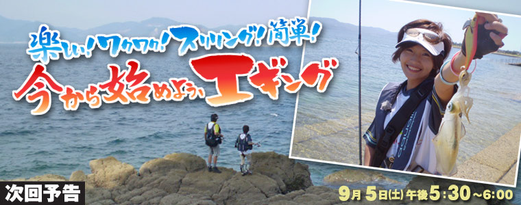 楽しい！ワクワク！スリリング！簡単！今から始めよう、エギング