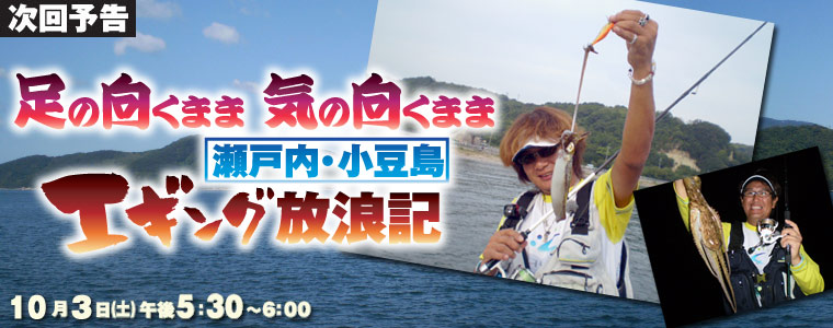 足の向くまま 気の向くまま 瀬戸内・小豆島エギング放浪記