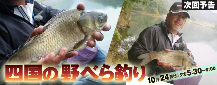 四国の野べら釣り
