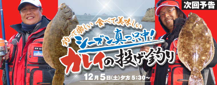釣って楽しい 食べて美味しい シーズン真っ只中！<br>カレイの投げ釣り