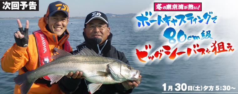 冬の東京湾が熱い！<br>ボートキャスティングで80cm級ビッグシーバスを狙え