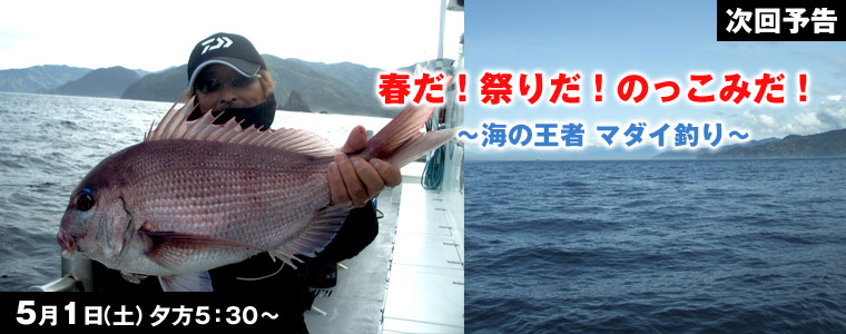 春だ！祭りだ！のっこみだ！海の王者 マダイ釣り