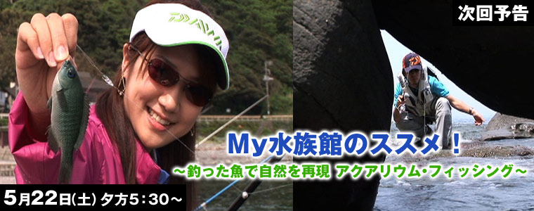My水族館のススメ！釣った魚で自然を再現 アクアリウム･フィッシング