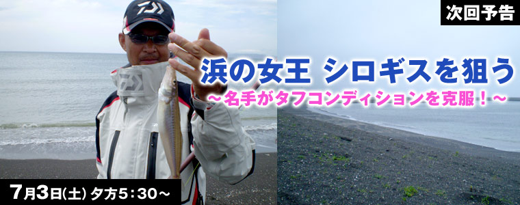 浜の女王 シロギスを狙う名手がタフコンディションを克服！