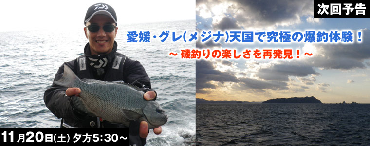 愛媛・グレ(メジナ)天国で究極の爆釣体験!磯釣りの楽しさを再発見！