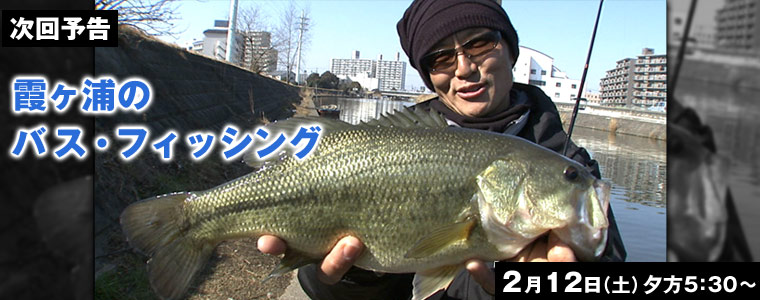 霞ヶ浦のバス・フィッシング