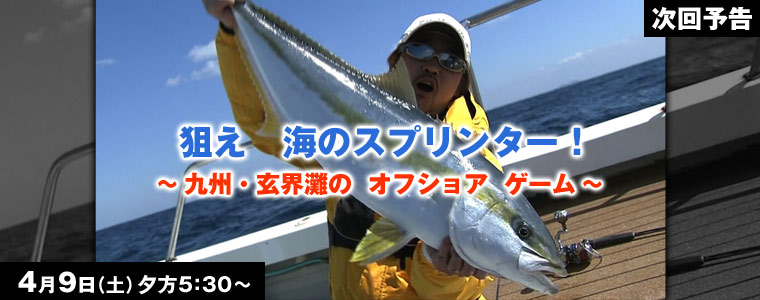 狙え 海のスプリンター！ヒラマサ ～九州・玄界灘の オフショア ゲーム
