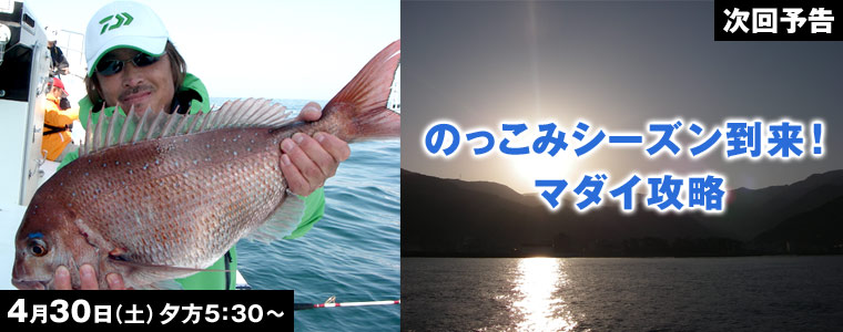 のっこみシーズン到来！マダイ攻略