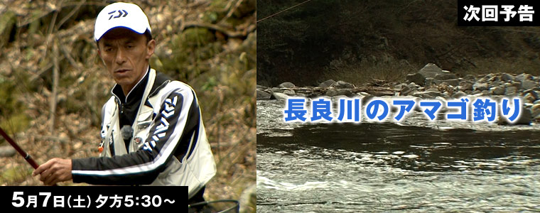 長良川のアマゴ釣り
