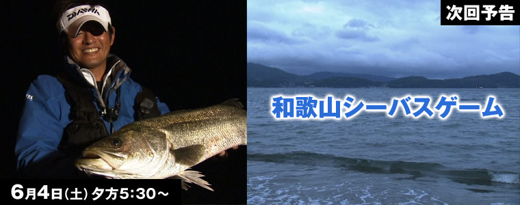 和歌山シーバスゲーム
