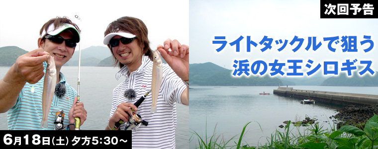 ライトタックルで狙う 浜の女王シロギス