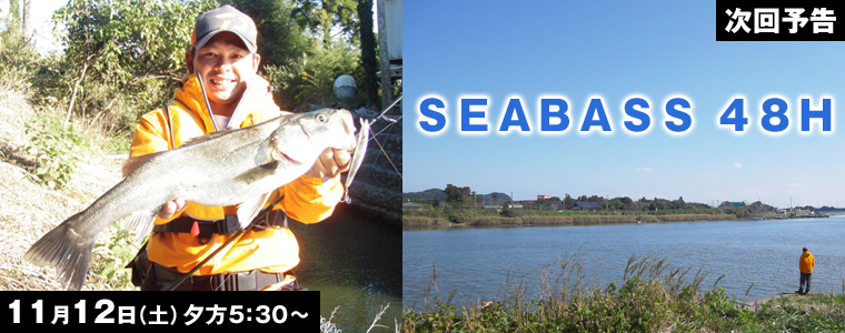 ＳＥＡＢＡＳＳ ４８Ｈ