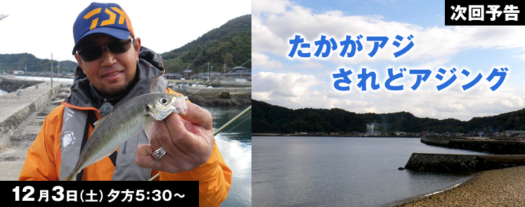 たかがアジ されどアジング