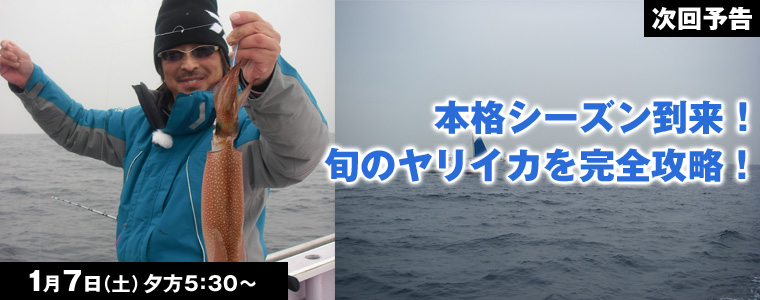 本格シーズン到来！旬のヤリイカを完全攻略！