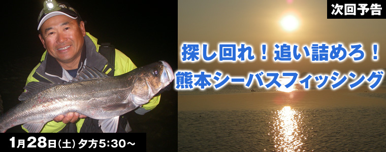 探し回れ！追い詰めろ！熊本シーバスフィッシング