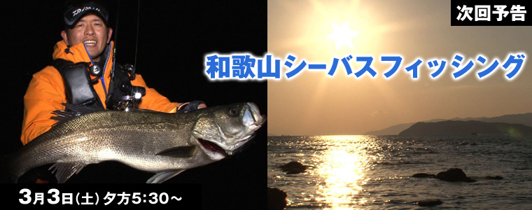 和歌山シーバスフィッシング