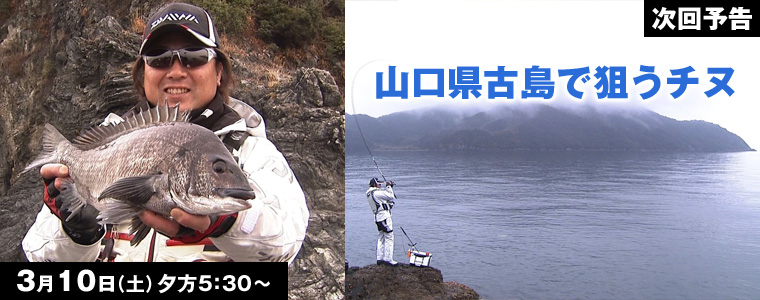 山口県古島で狙うチヌ
