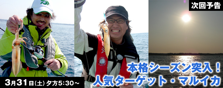 本格シーズン突入！人気ターゲット・マルイカ