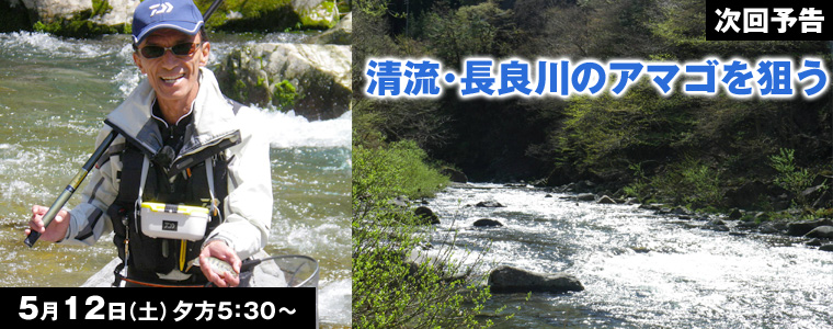 清流･長良川のアマゴを狙う