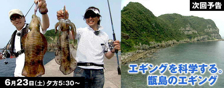 エギングを科学する。甑島のエギング