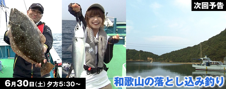 和歌山の落とし込み釣り
