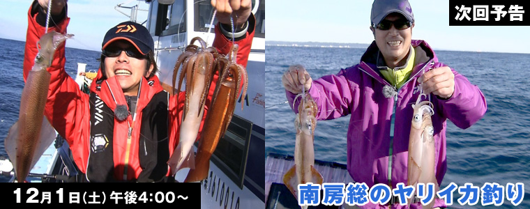 南房総のヤリイカ釣り