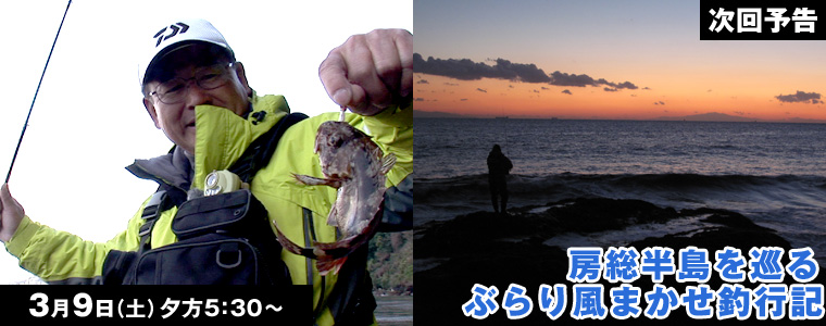房総半島を巡る ぶらり風まかせ釣行記