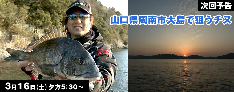 山口県周南市大島で狙うチヌ