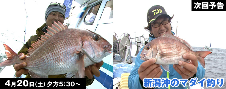 新潟沖のマダイ釣り